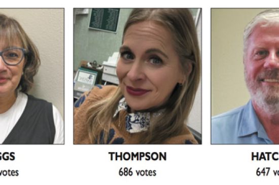 Newcomer Riggs takes top spot in USD 480 election